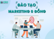 đào tạo marketing 0 đồng