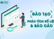 phân tích số liệu và báo cáo